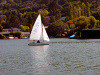 Belvedere Sailing Society